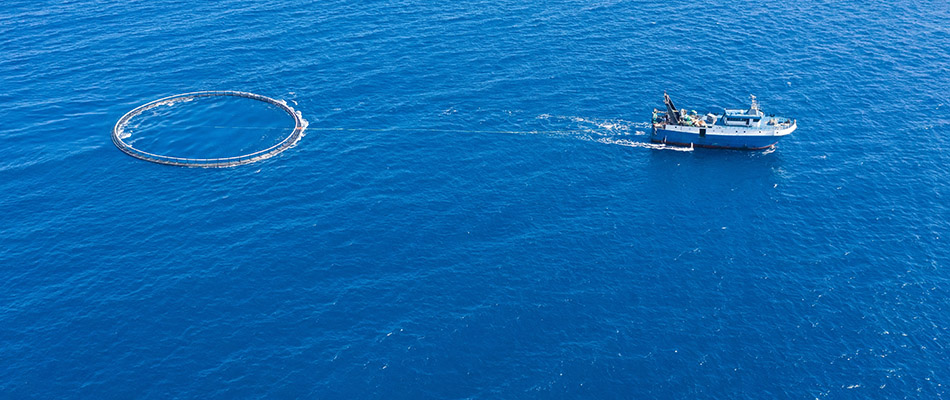 Relance temporaire du PEQ : et maintenant ?